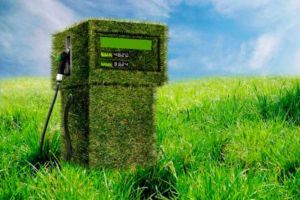 Los biocombustibles energía derivada de materia orgánica