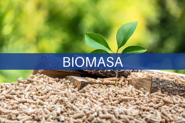 Biomasa Fuente de Calor